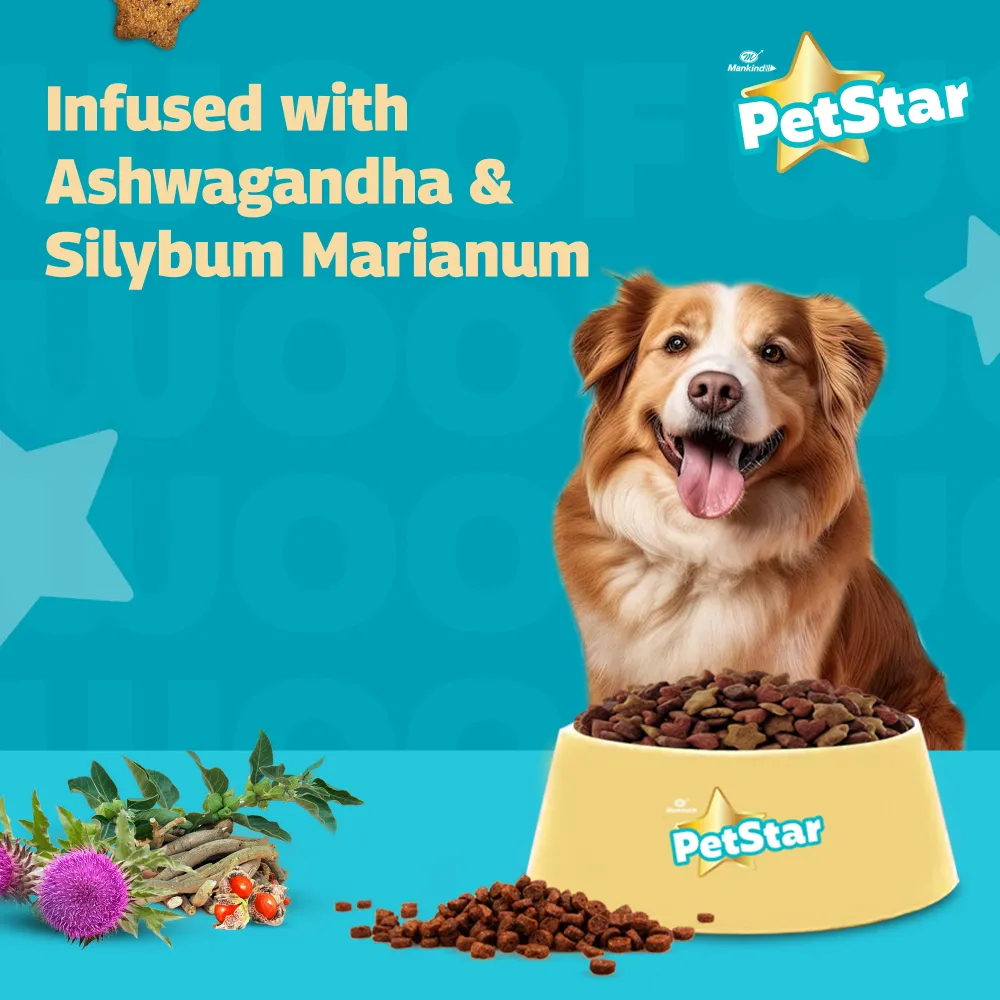 Mankind Petstar Chicken and Wheat Adult Dog Dry Food and Chunky Chicken Gravy Adult Dog Wet Food Combo