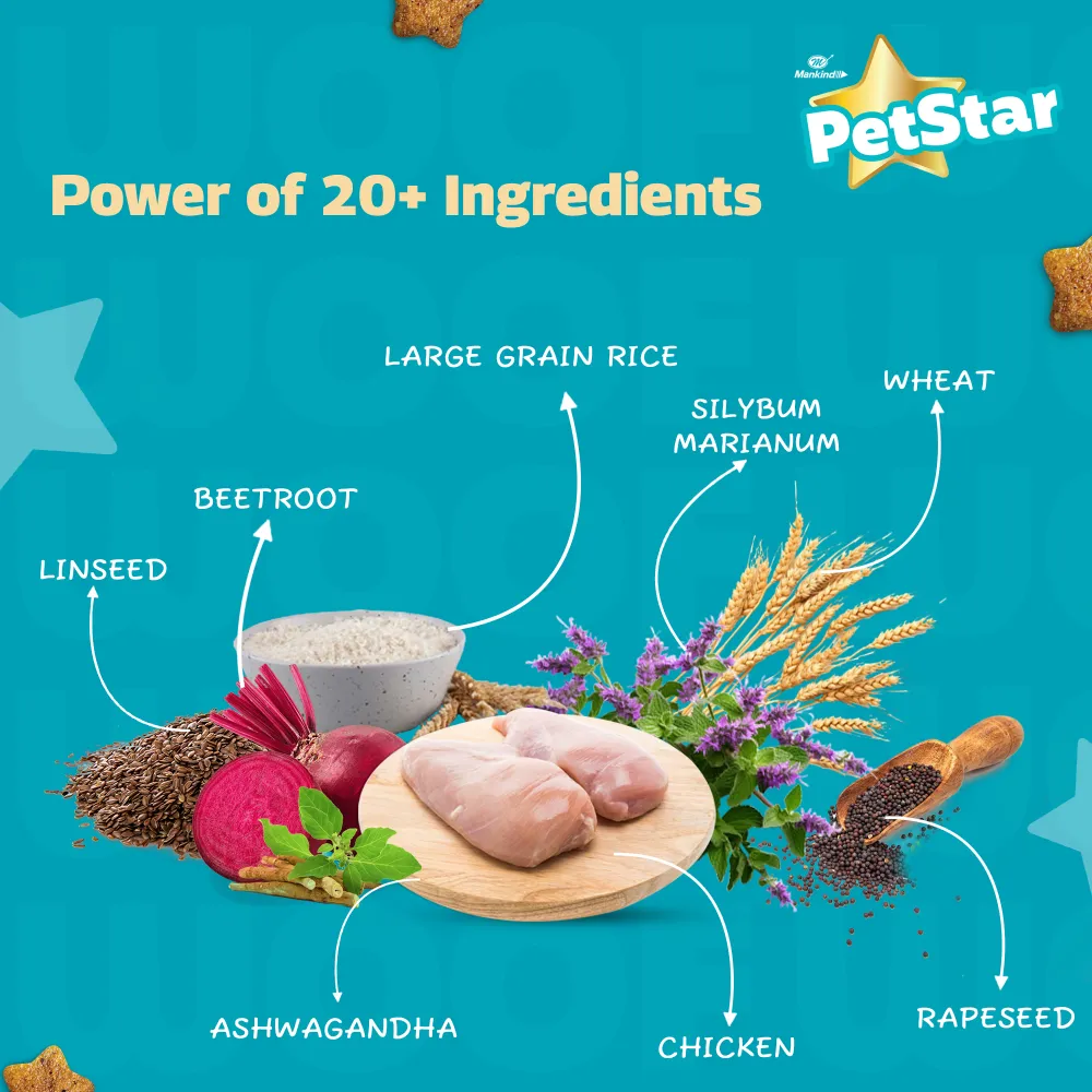 Mankind Petstar Chicken and Wheat Adult Dog Dry Food and Chunky Chicken Gravy Adult Dog Wet Food Combo
