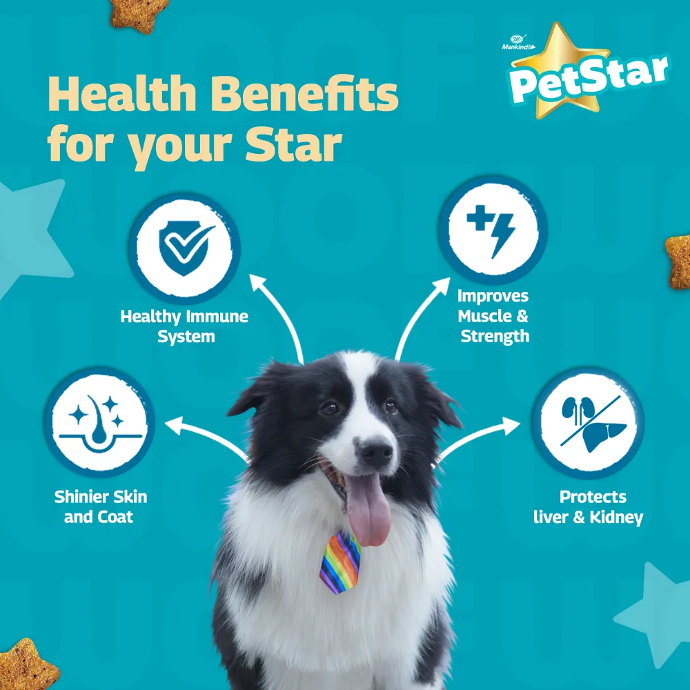 Mankind Petstar Chicken and Wheat Adult Dog Dry Food and Chunky Chicken Gravy Adult Dog Wet Food Combo