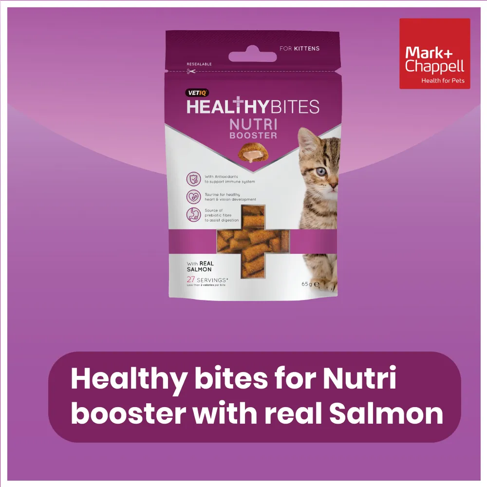 Mark and Chappell Healthy Bites Nutri Booster Kitten Treats