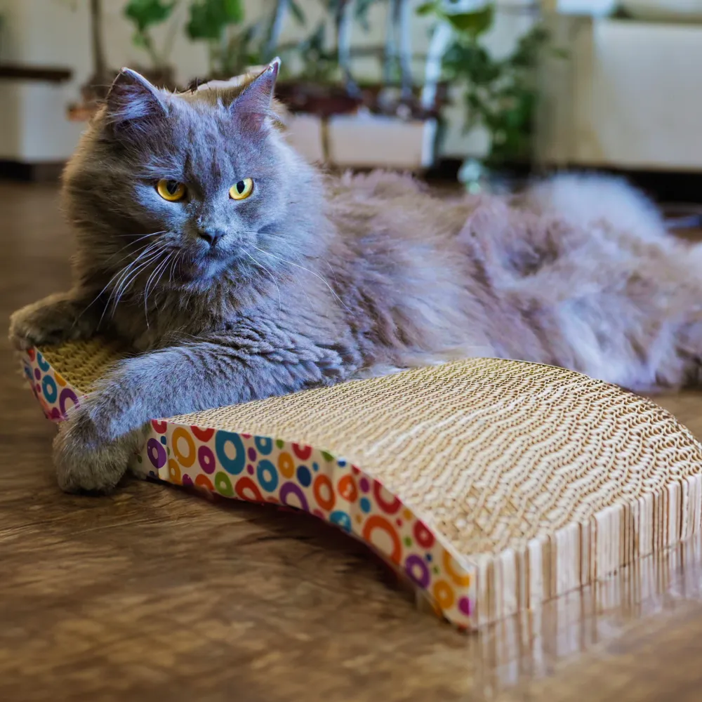 Me O Creamy Chicken & Liver Treats with Skatrs Wave Cat Scratcher & 2g Premium Catnip Combo
