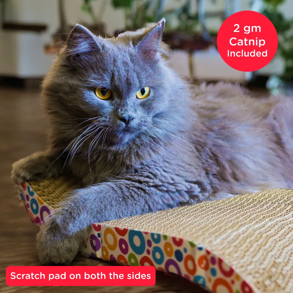 Me O Creamy Chicken & Liver Treats with Skatrs Wave Cat Scratcher & 2g Premium Catnip Combo