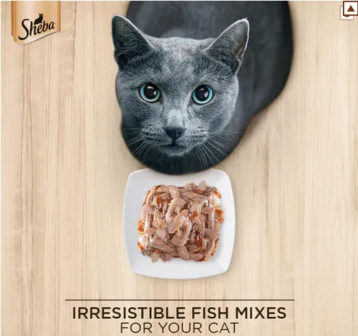 Me O Delite Tuna with Crab Sticks in Jelly and  Sheba Fish with Sasami Premium Cat Wet Food Combo