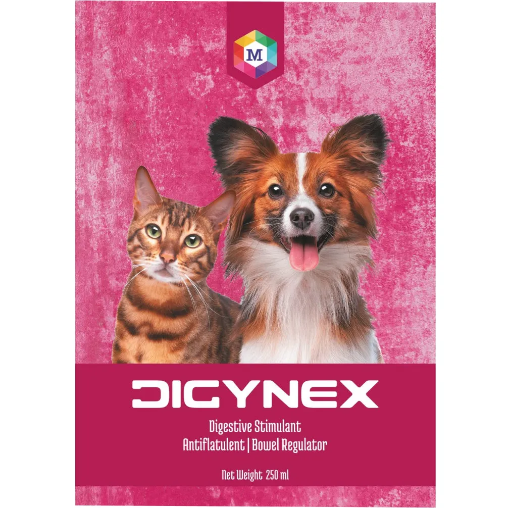 Medfly Healthcare DigyNex Syrup for Dogs and Cats