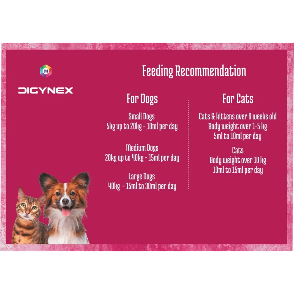 Medfly Healthcare DigyNex Syrup for Dogs and Cats