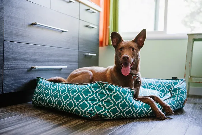 Moroccan Lounge Bed