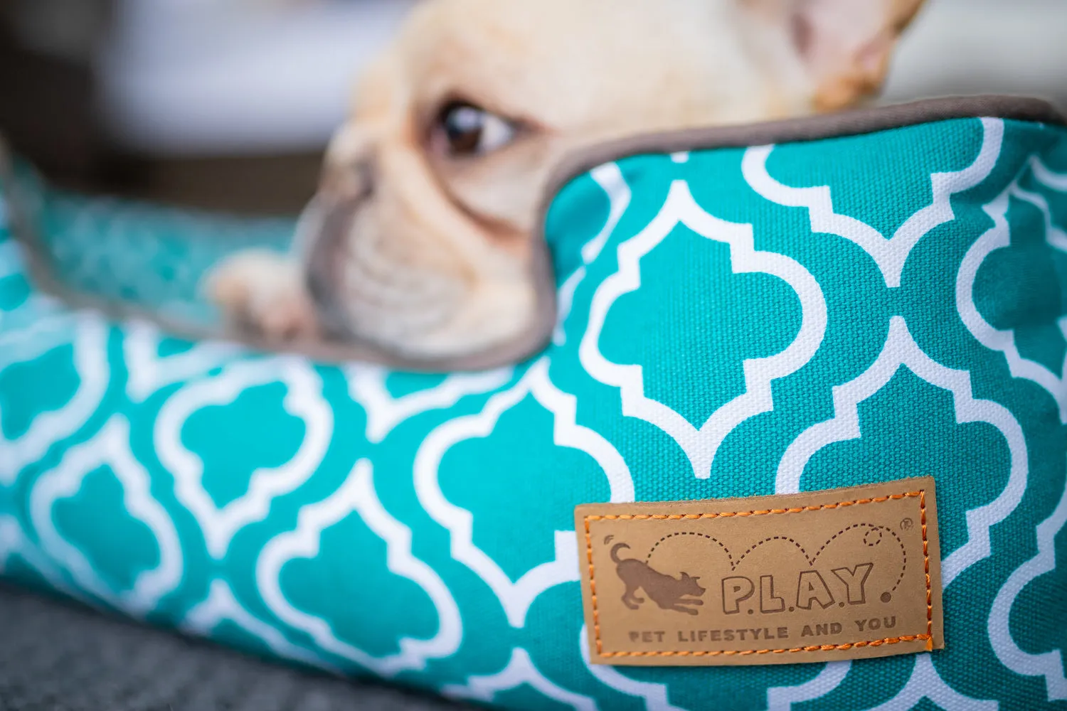 Moroccan Lounge Bed