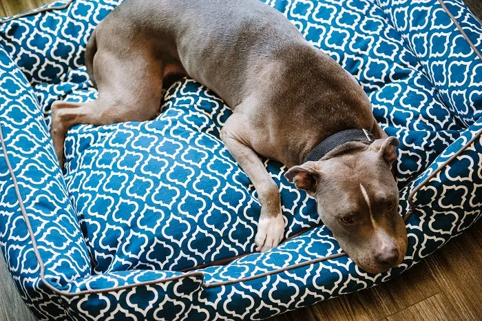 Moroccan Lounge Bed