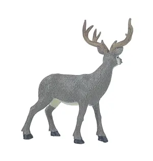 Mule Deer