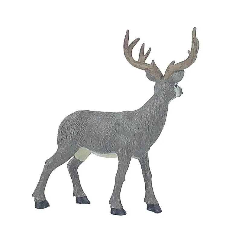 Mule Deer