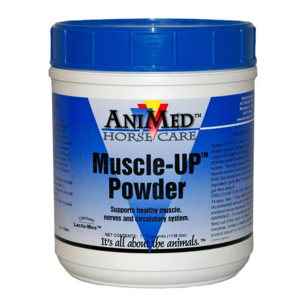 MUSCLE UP
