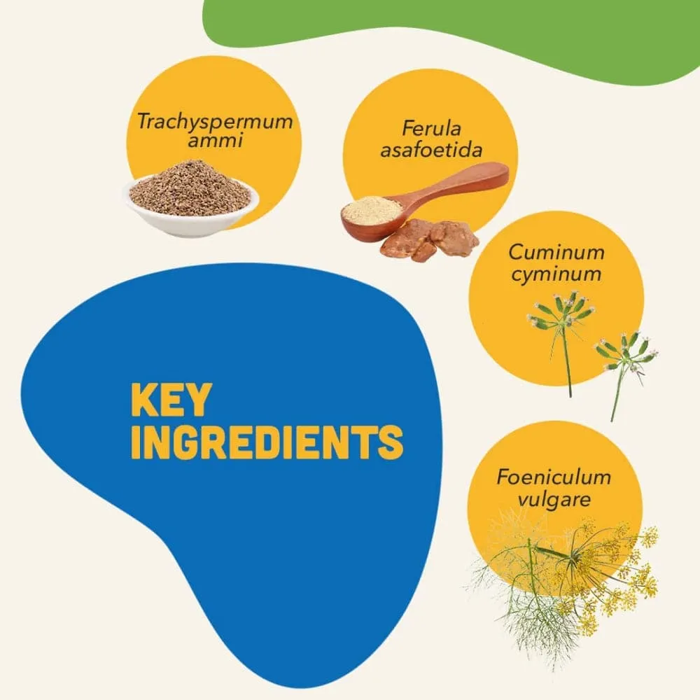 Natural Remedies Digestive Bites Chew Treats for Dogs