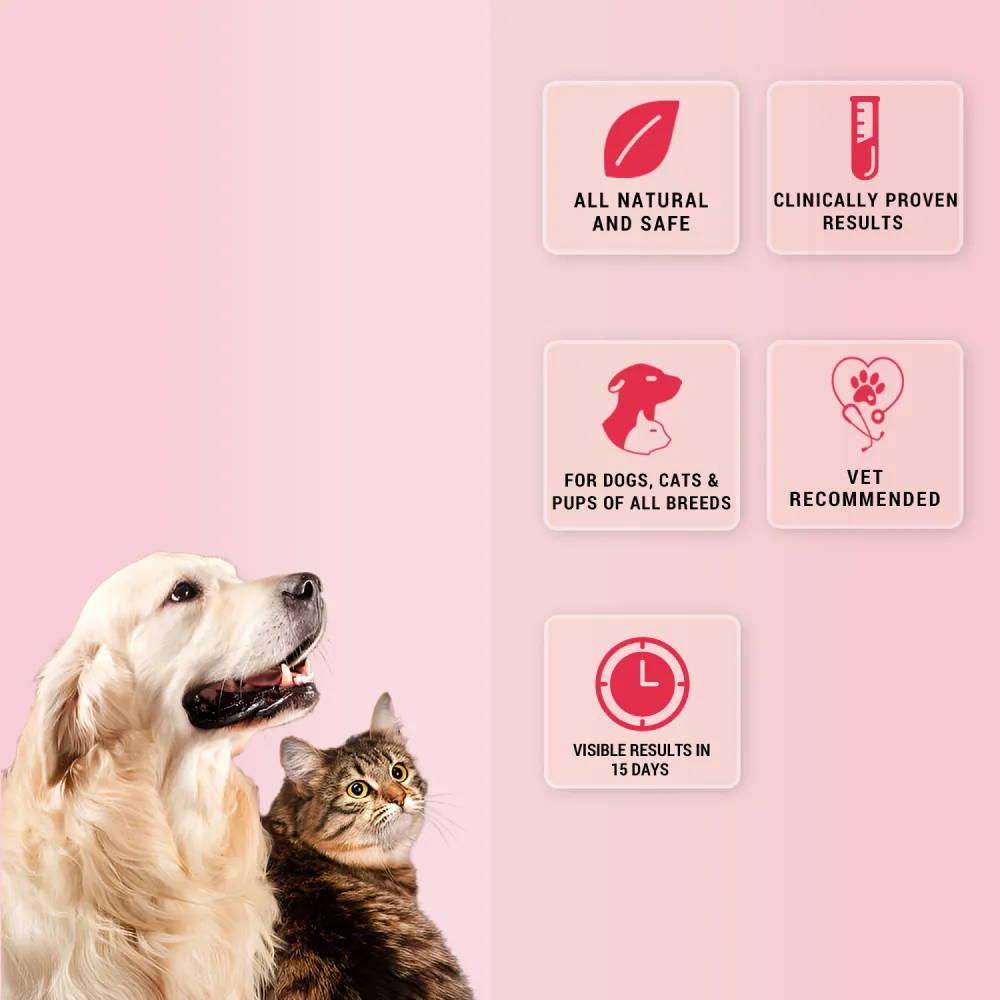 Natural Remedies Natgut Granules 4.2 GMS Sachet Supplement for Cats and Dogs