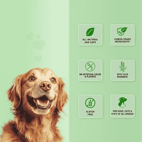 Natural Remedies Treat O'Clock Hemp with Chicken Meat Treats for Dogs