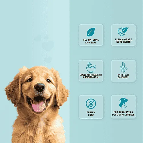 Natural Remedies Treat O'Clock Milk with Chicken Meat Treats for Dogs