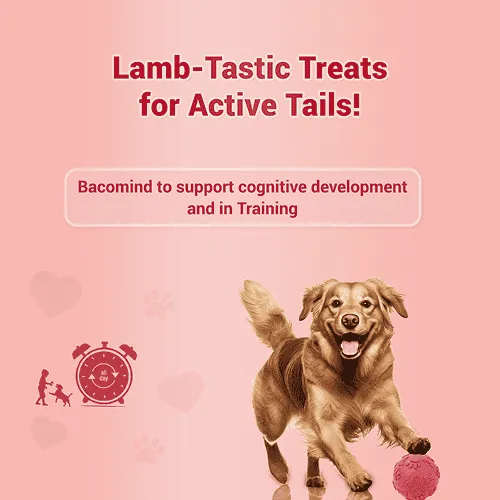 Natural Remedies Treat O'Clock Mutton Treats for Dogs