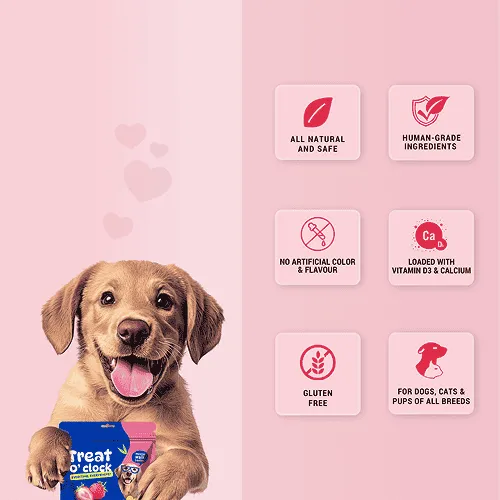 Natural Remedies Treat O'Clock Strawberry with Chicken Meat Treats for Dogs