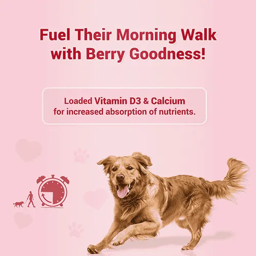 Natural Remedies Treat O'Clock Strawberry with Chicken Meat Treats for Dogs