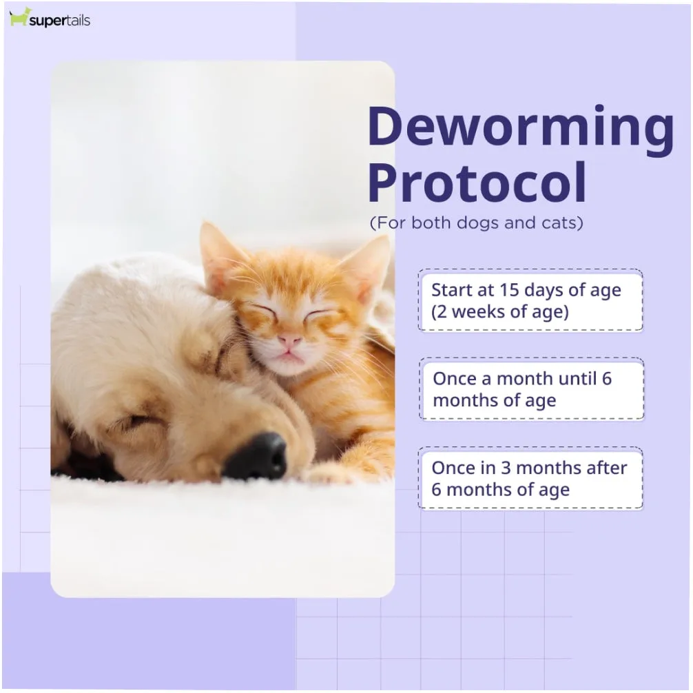 Neo Kumfurt Wormeez Deworming Tabet for Dogs (pack of 10 tablets)