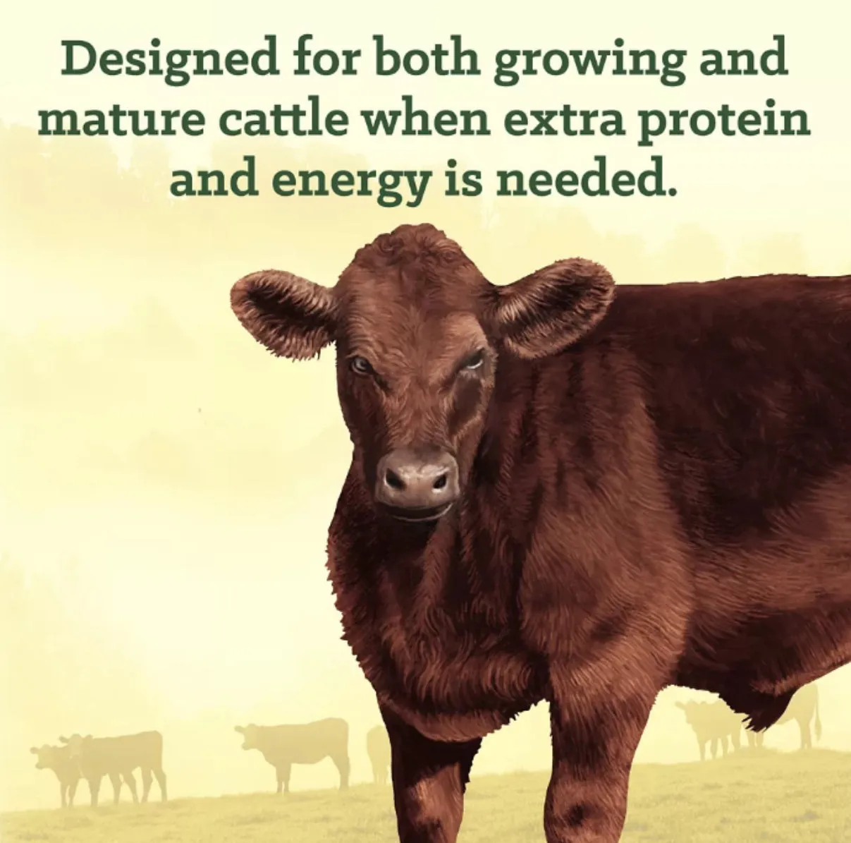 Nutrena NutreBeef 15% Commodity Pelleted Cattle Feed, 50 lb. Bag