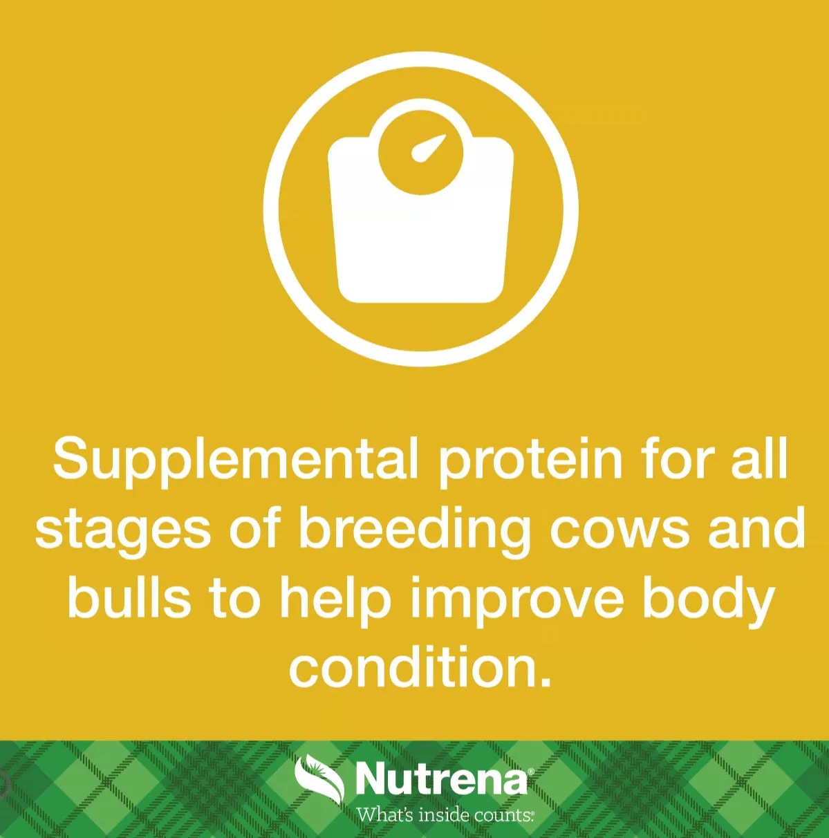 Nutrena NutreBeef 15% Commodity Pelleted Cattle Feed, 50 lb. Bag