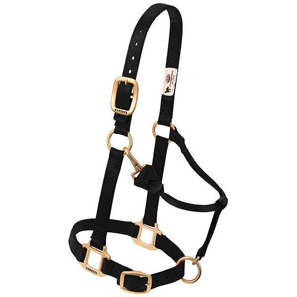 ORIGINAL ADJUSTABLE CHIN AND THROAT SNAP HALTER, 1"