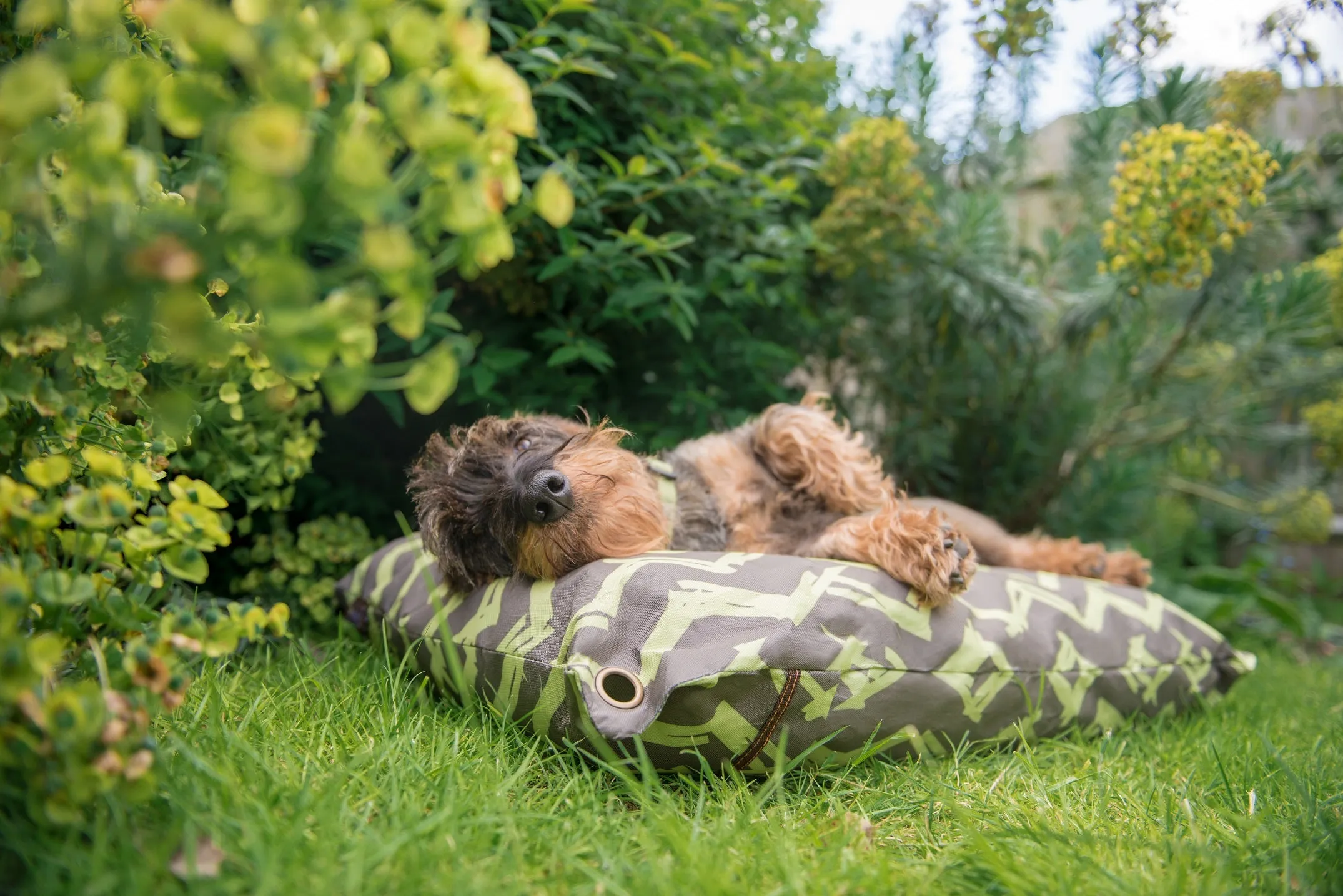 Outdoor Bed