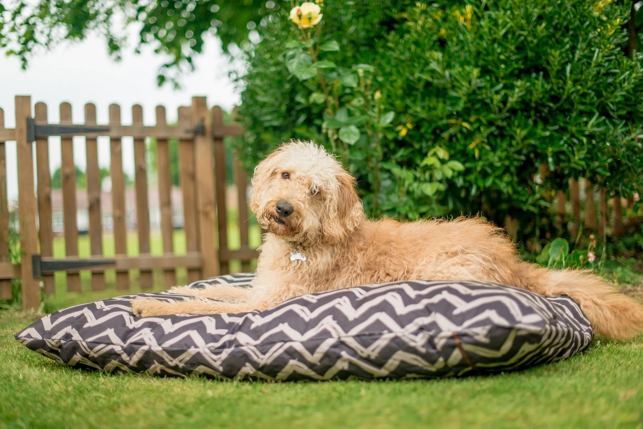 Outdoor Bed