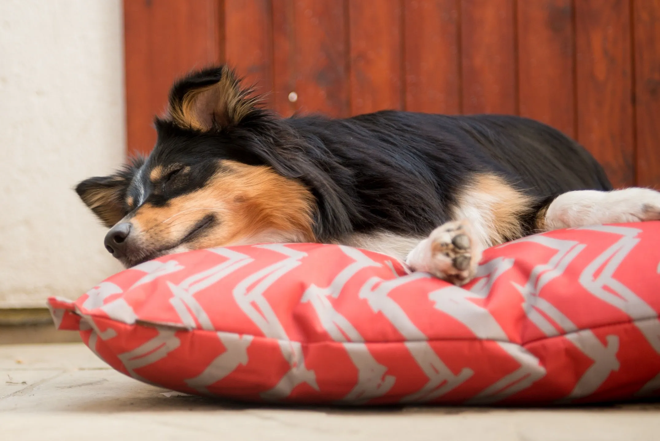 Outdoor Bed
