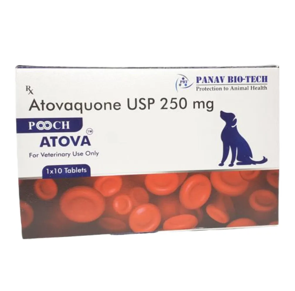 Panav Biotech Pooch Atova (Atovaquone) 250mg for Dogs (pack of 10 tablets)