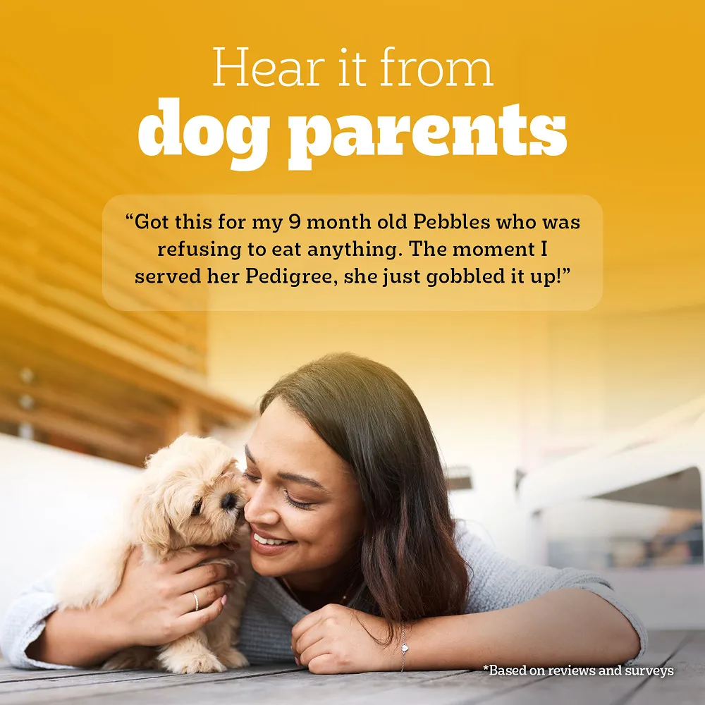 Pedigree Meat & Milk Puppy Dog Dry Food