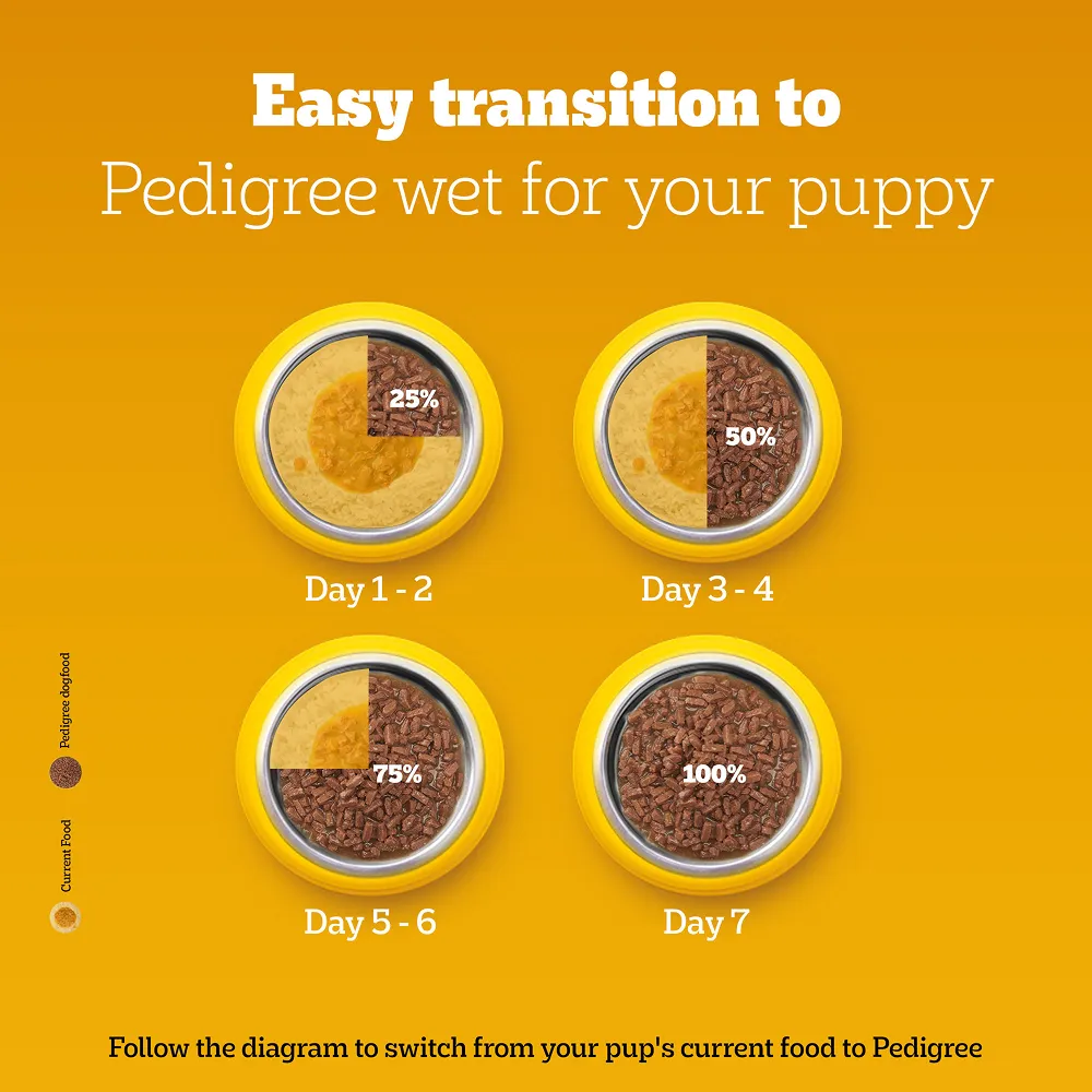 Pedigree Meat & Milk Puppy Dog Dry Food