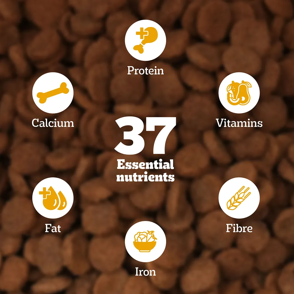 Pedigree Meat & Milk Puppy Dog Dry Food
