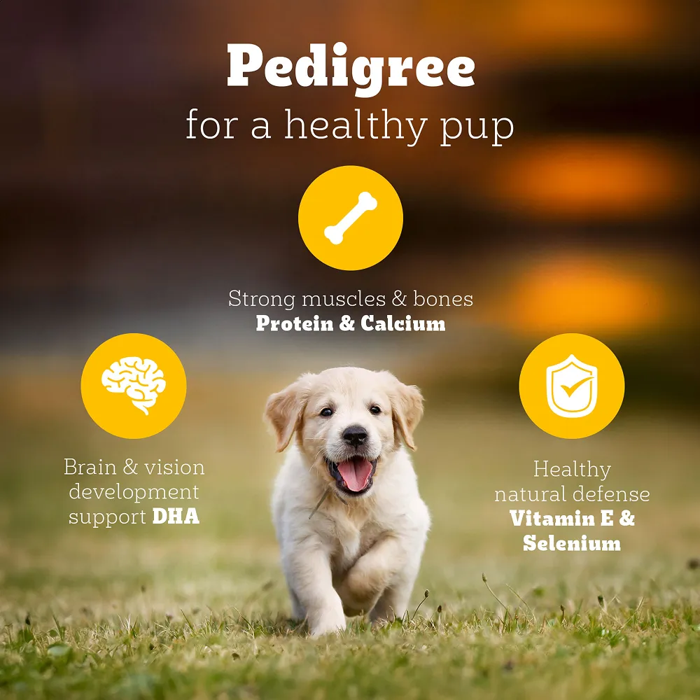 Pedigree Meat & Milk Puppy Dog Dry Food