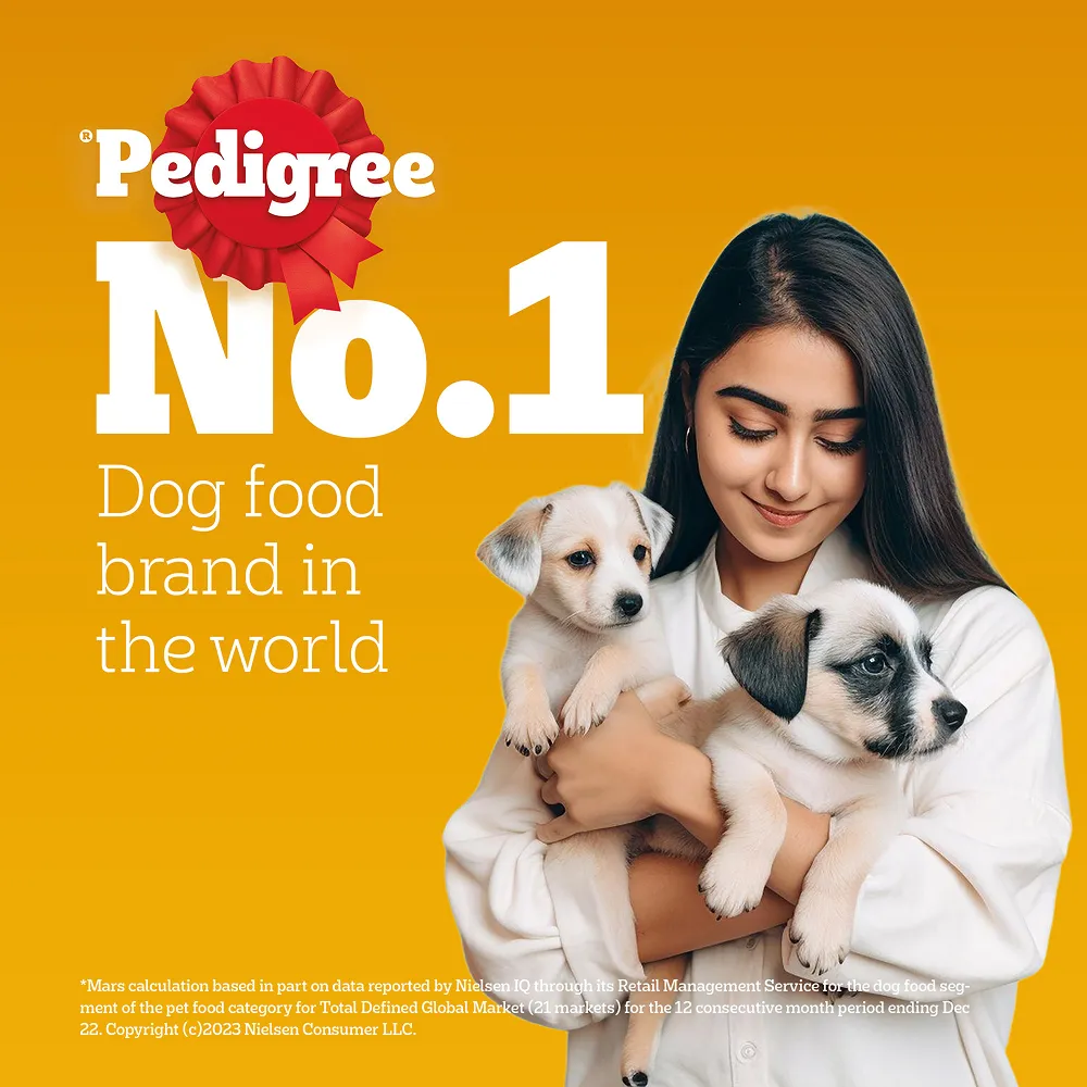 Pedigree Meat & Milk Puppy Dog Dry Food
