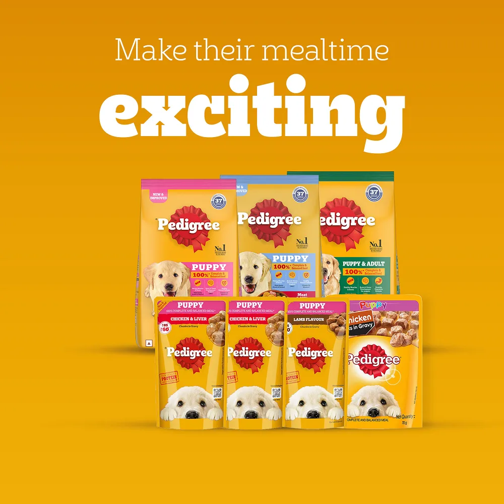 Pedigree Meat & Milk Puppy Dog Dry Food