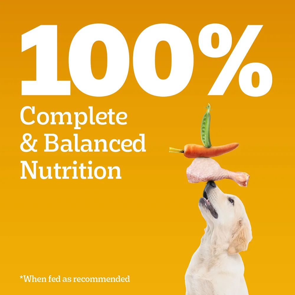 Pedigree Meat & Milk Puppy Dog Dry Food