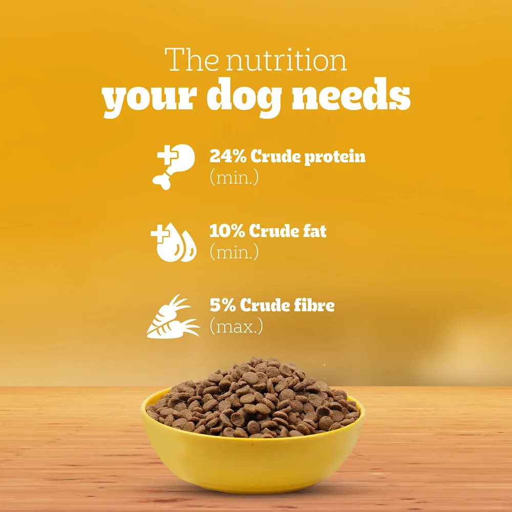 Pedigree Meat & Milk Puppy Dog Dry Food