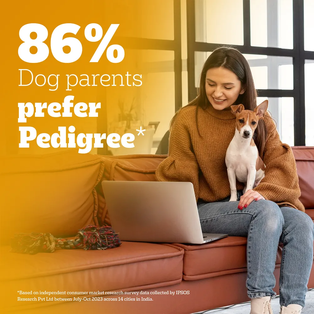 Pedigree Meat & Milk Puppy Dog Dry Food