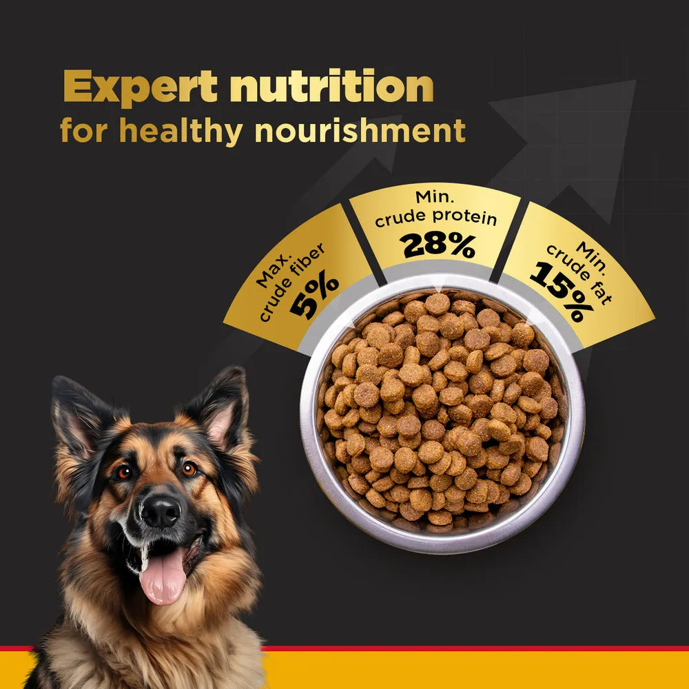 Pedigree PRO Expert Nutrition Active Adult (18 Months ) Large Breed Dry Food and Dentastix Oral Care for Adult (25 kg ) Combo for Dogs