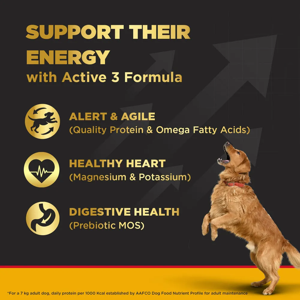 Pedigree PRO Expert Nutrition Active Adult (18 Months ) Large Breed Dry Food and Dentastix Oral Care for Adult (25 kg ) Combo for Dogs