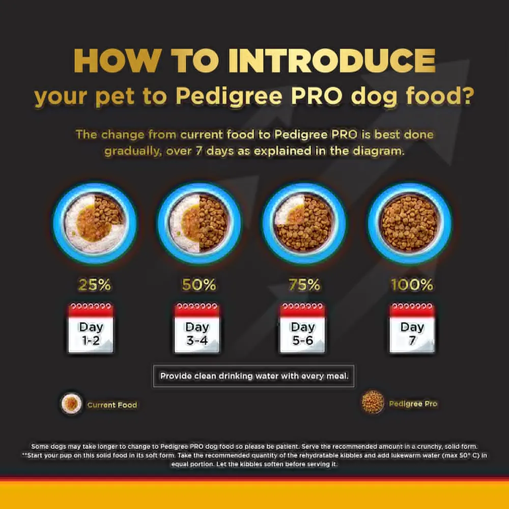 Pedigree PRO Expert Nutrition Active Adult (18 Months Onwards)  Dry Food and Henlo Chicken Pops Dog Treats