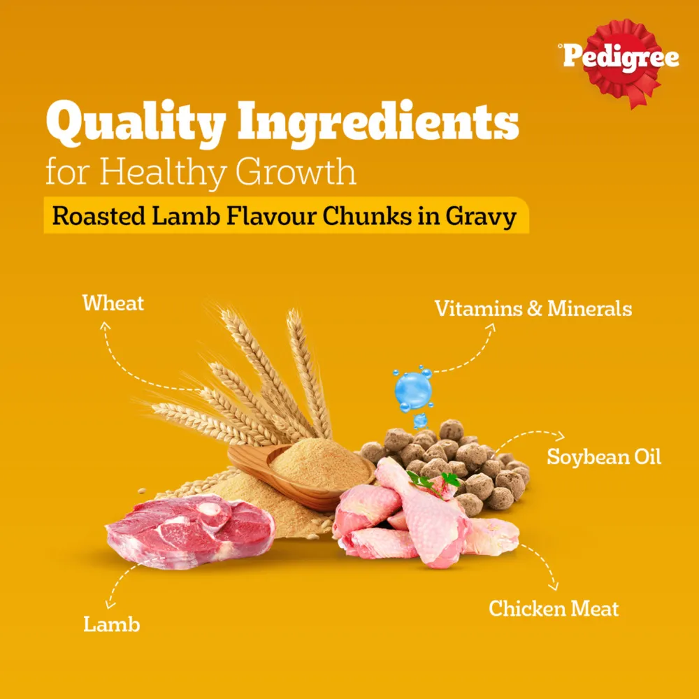 Pedigree Roasted Lamb Flavour Chunks in Gravy Adult Dog Wet Food