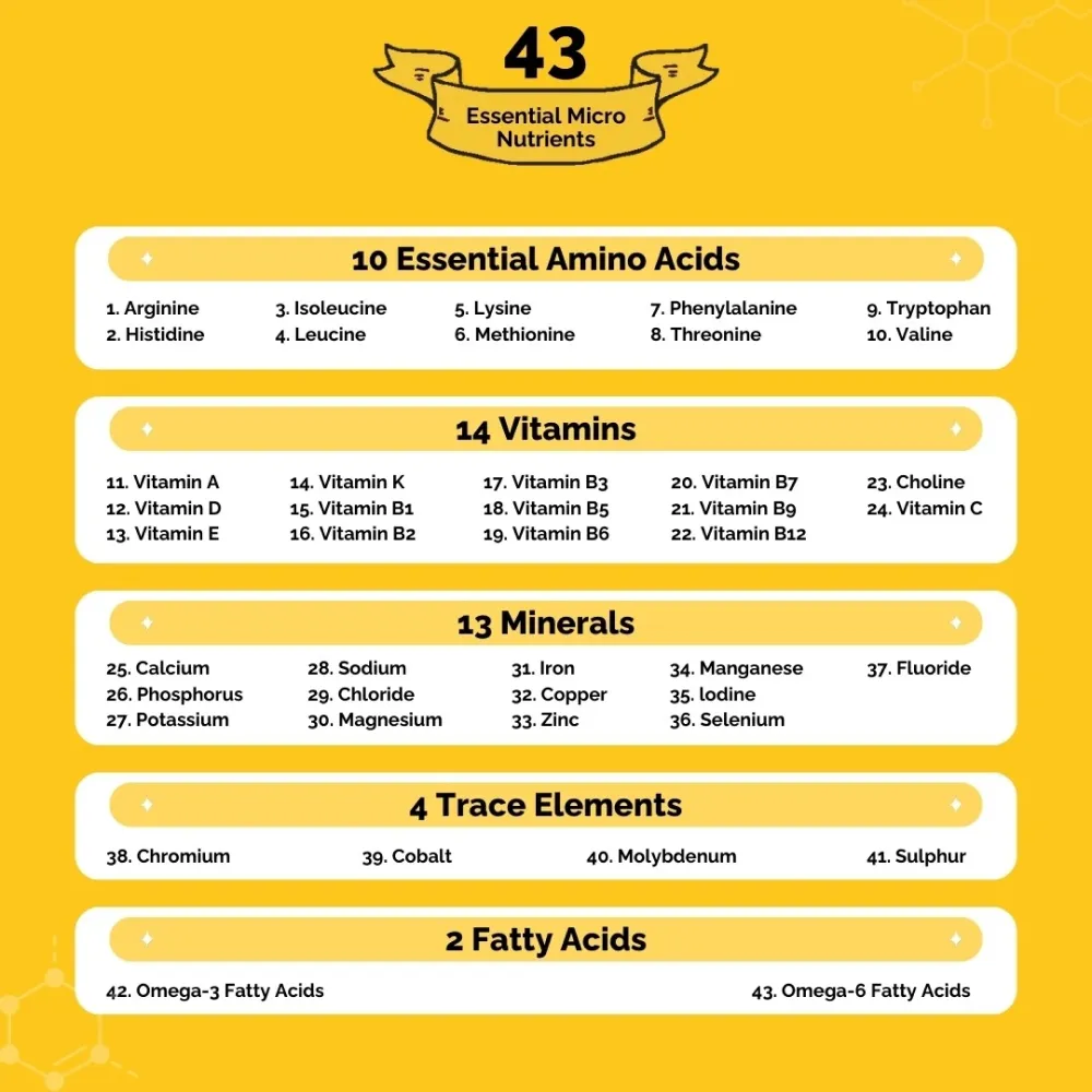 PetStrong Chicken and Rice Fresh Food and 2.2  Meal Protein Booster for Dogs Combo