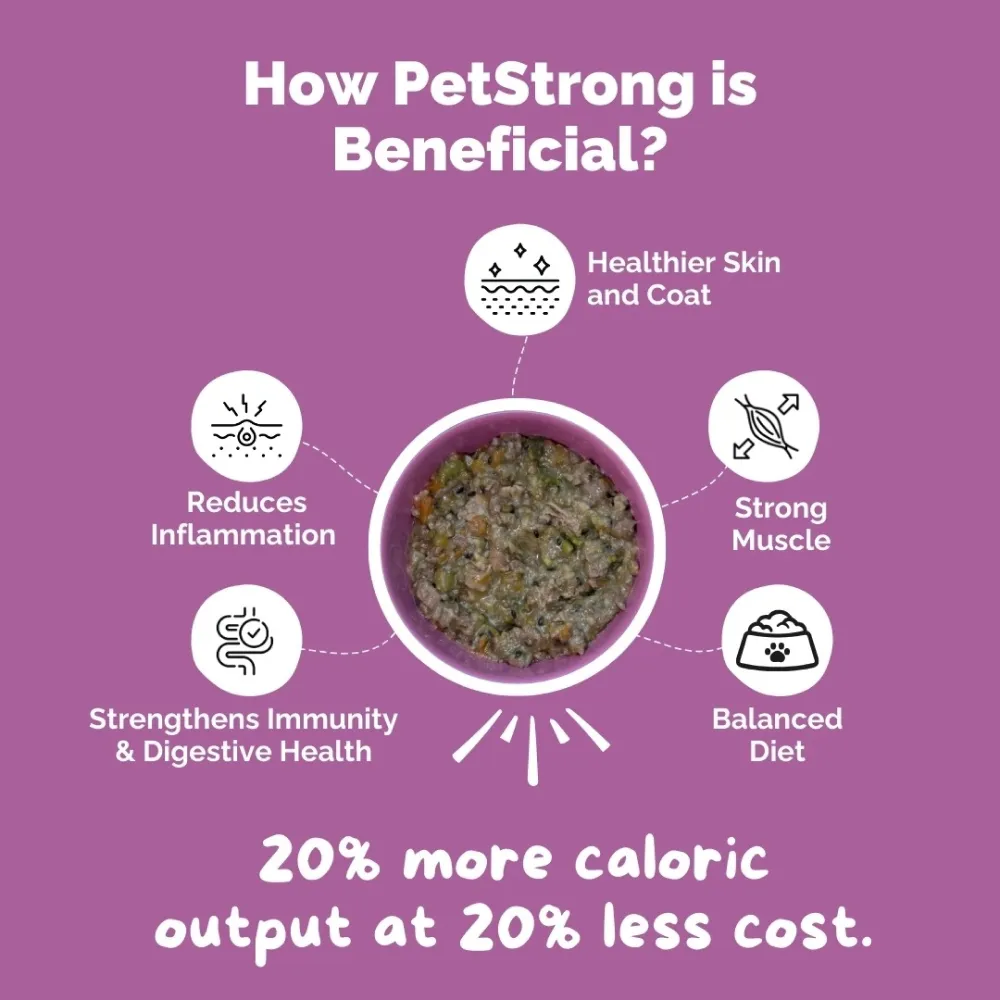 PetStrong Chicken and Rice Fresh Food and 2.2  Meal Protein Booster for Dogs Combo