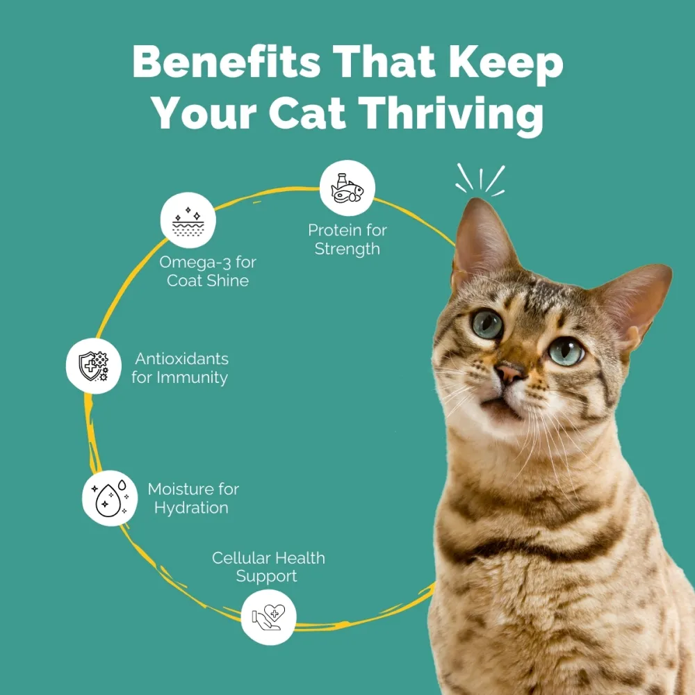 PetStrong Mackerel and Seaweed in Gravy Cat Wet Food