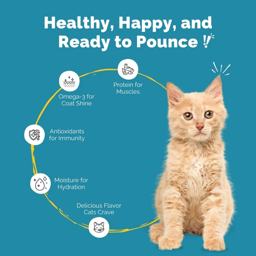 PetStrong Tuna and White Fish in Gravy Cat Wet Food