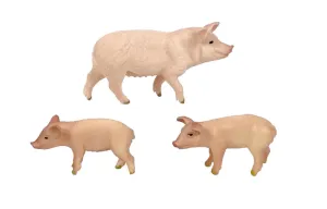 Pig & Piglets
