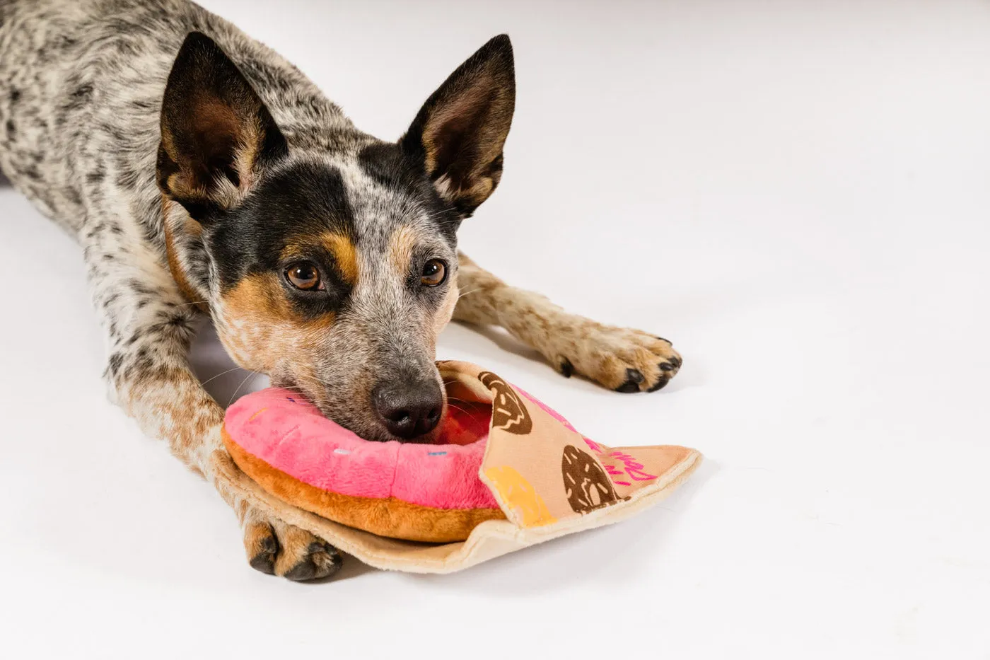 Pup Cup Cafe Doughboy Donut