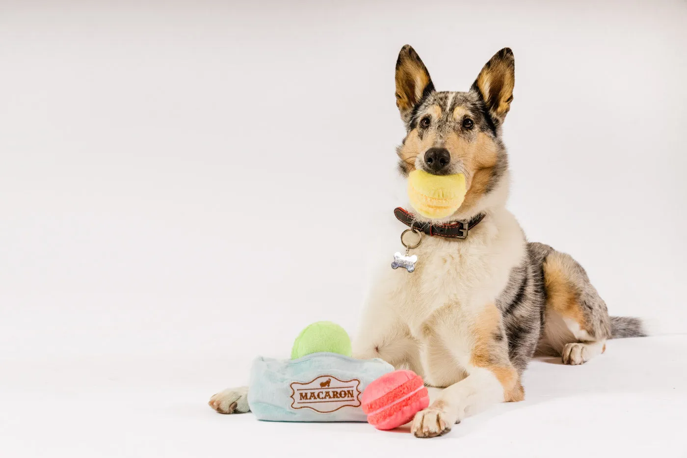 Pup Cup Cafe Mutt-a-rons